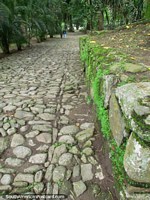 Andando os caminhos de pedra arredondada da velha cidade de San Felipe. Venezuela, América do Sul.