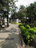 Plaza Bolivar with trees and gardens in Acarigua. Venezuela, South America.
