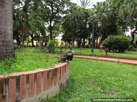 A grande iguana senta-se no meio de Praça Bolivar em Barinas. Venezuela, América do Sul.