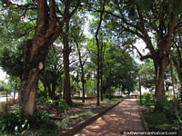Lleno de árboles, Plaza Bolivar en Barinas. Venezuela, Sudamerica.