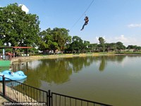 Versão maior do A raposa voadora através da lagoa em Parque Federação em Barinas.