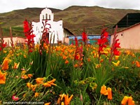 Red and orange flower garden at the plaza in front of the church in San Isidro de Apartaderos.