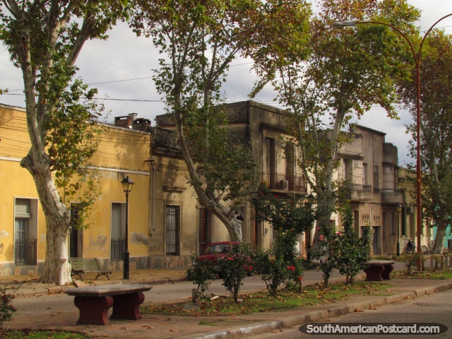 Casas quadradas e ruas arborizadas em Paysandu rea histrica. (640x480px). Uruguai, Amrica do Sul.