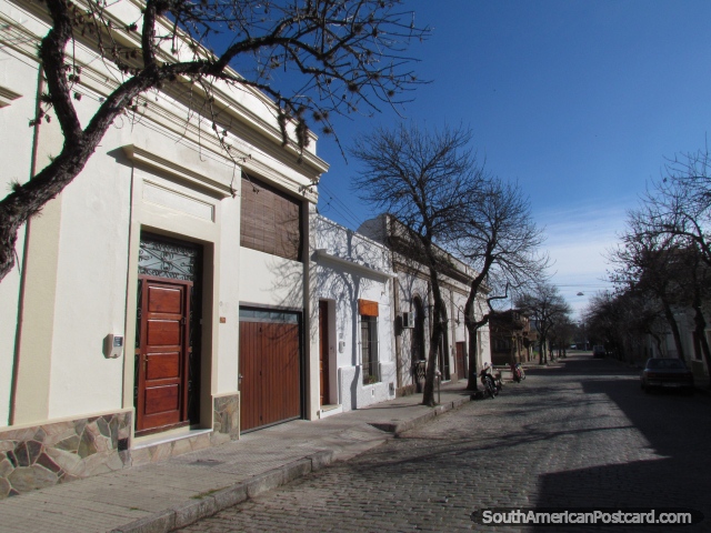 Cobblestone street, stark trees and houses in Mercedes. (640x480px). Uruguay, South America.
