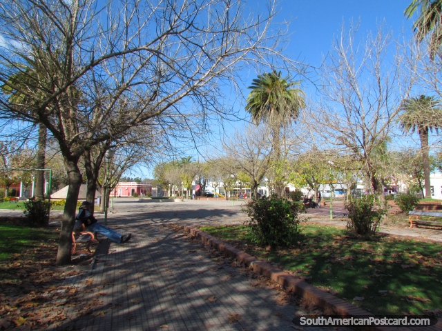 Sun and shady trees at Plaza Lavalleja in Mercedes. (640x480px). Uruguay, South America.