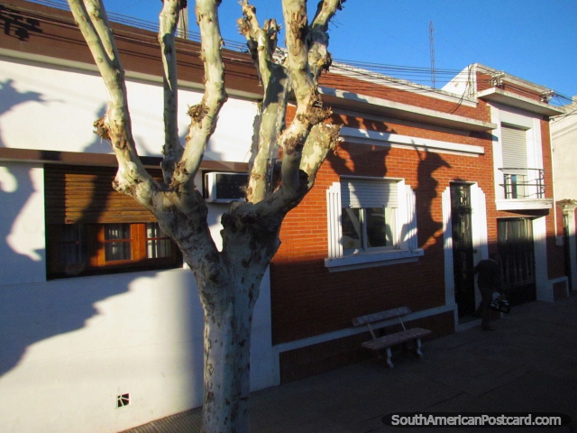 Casa Branca com decorações marrons e casa marrom com decorações brancas em Dolores.  (640x480px). Uruguai, América do Sul.