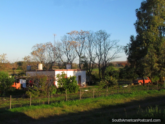 Uma casa de païs e propriedade entre Dolores e Palmira. (640x480px). Uruguai, América do Sul.
