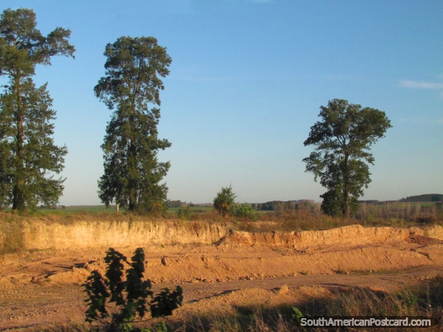 Ã�rvores e zona rural no caminho para o sul a Palmira. (640x480px). Uruguai, América do Sul.