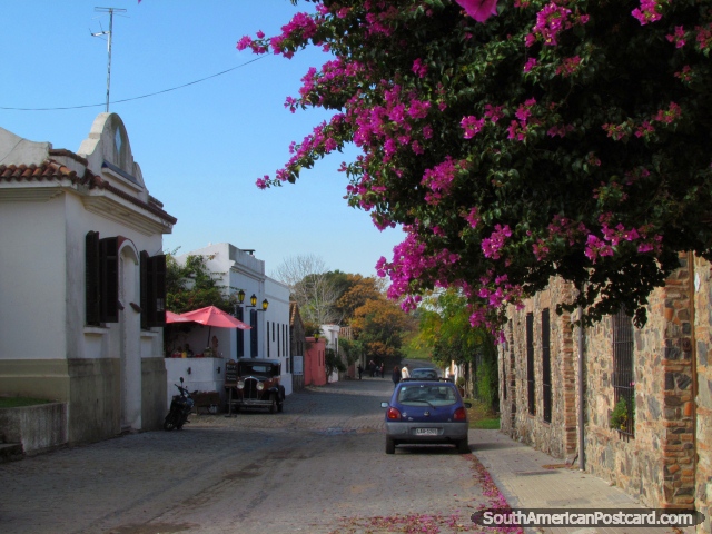 Olhar ao longo de Calle de San Pedro em Colonia do Sacramento. (640x480px). Uruguai, América do Sul.