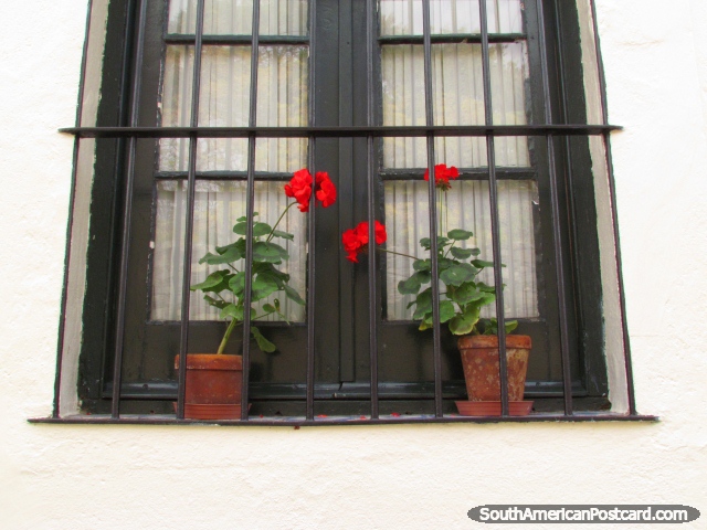 Janela com potes de flores vermelhas, Colonia do Sacramento. (640x480px). Uruguai, Amrica do Sul.