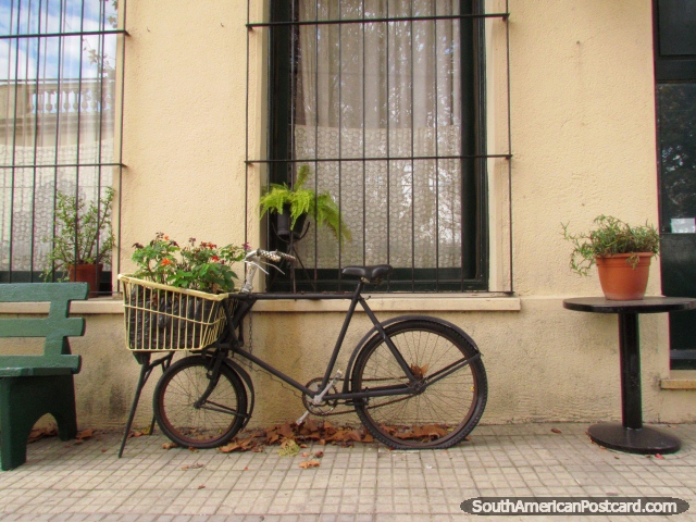 Bicicleta com jardim de flores no pavimento em Colonia do Sacramento. (640x480px). Uruguai, América do Sul.