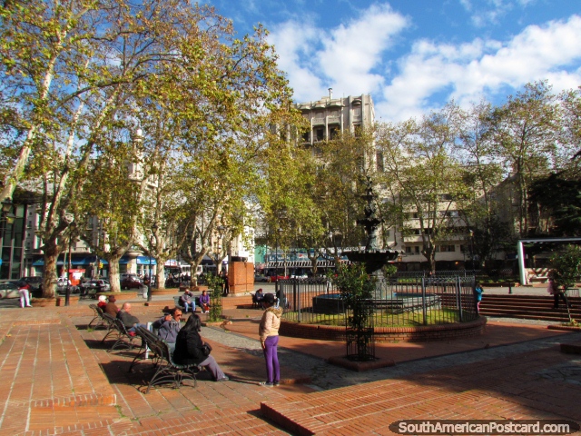 Fuente y árboles en Plaza de los 33 en Montevideo central. (640x480px). Uruguay, Sudamerica.