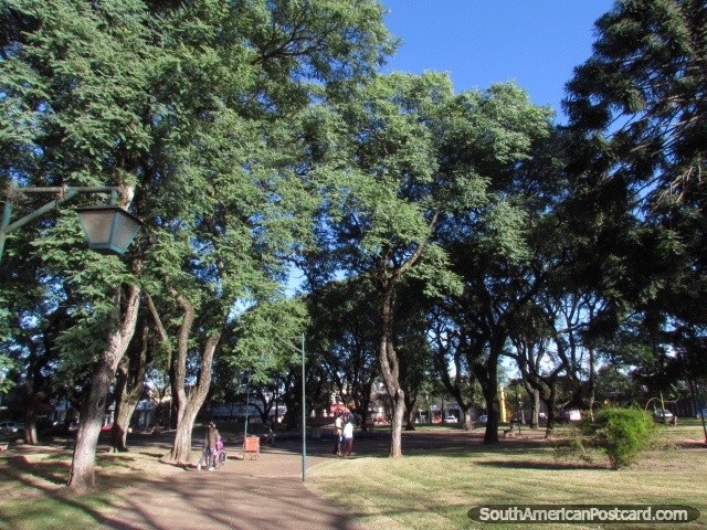 Praça Cristobal Colon, velhas árvores sombreadas, Tacuarembo. (640x480px). Uruguai, América do Sul.