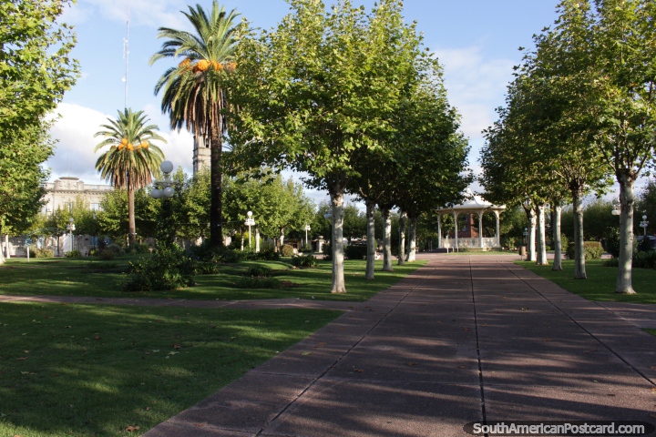 La plaza central con muchas hojas en Fray Bentos - Plaza Constitucin. (720x480px). Uruguay, Sudamerica.