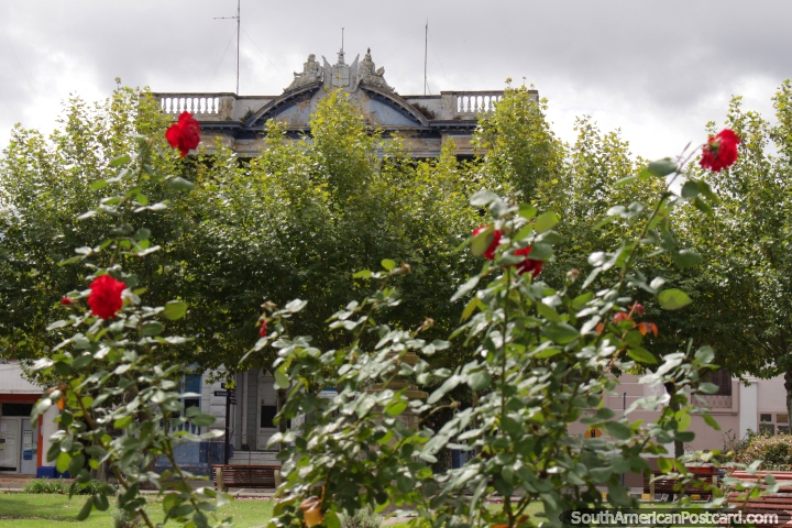 Flowers in the plaza and the Edificio Stella D-Italia behind in Fray Bentos. (720x480px). Uruguay, South America.
