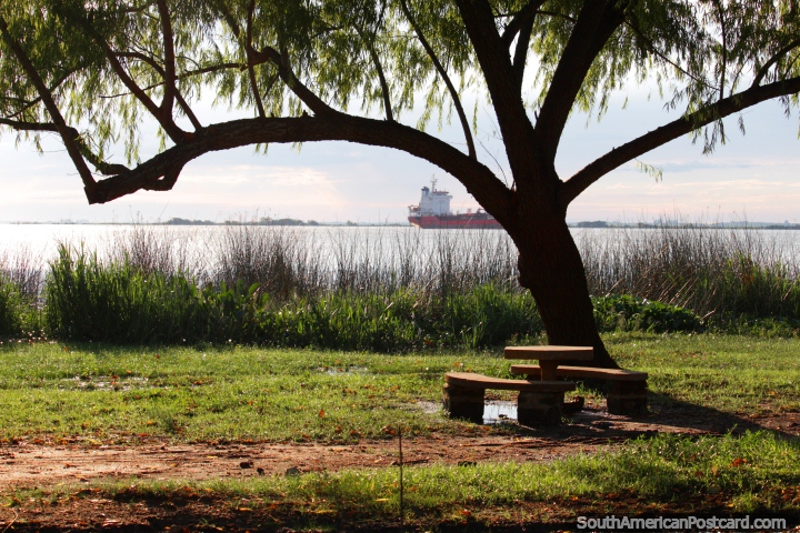 Tome un asiento bajo un rbol a orillas del ro en Fray Bentos. (720x480px). Uruguay, Sudamerica.