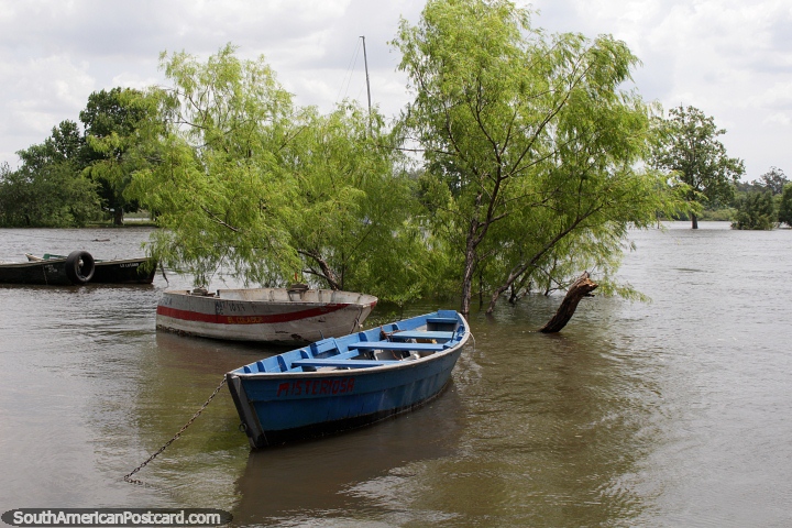 Isla del Puerto en la distancia est bajo el agua en noviembre en el ro Negro en Mercedes. (720x480px). Uruguay, Sudamerica.
