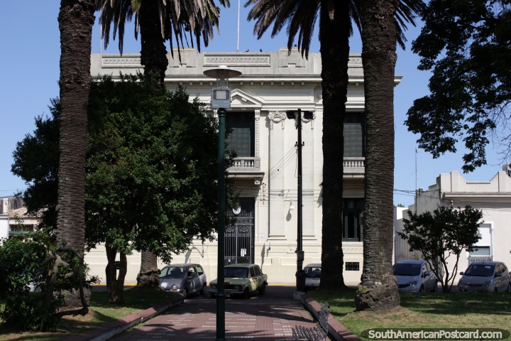 Government building beside Plaza Artigas in Carmelo with tall palm trees. (720x480px). Uruguay, South America.