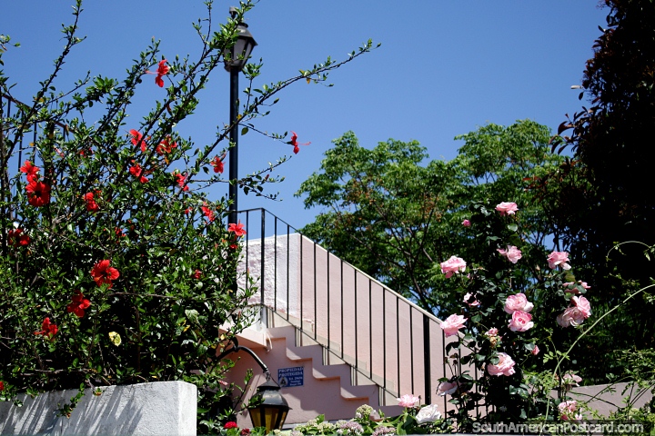 A escada conduz a um pátio ao sol com rodeio de árvores e flores, casa na Colônia. (720x480px). Uruguai, América do Sul.
