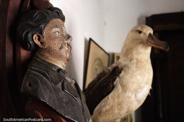 Large stuffed albatross and an old mask, the history of Maldonado at Mazzoni Museum. (720x480px). Uruguay, South America.