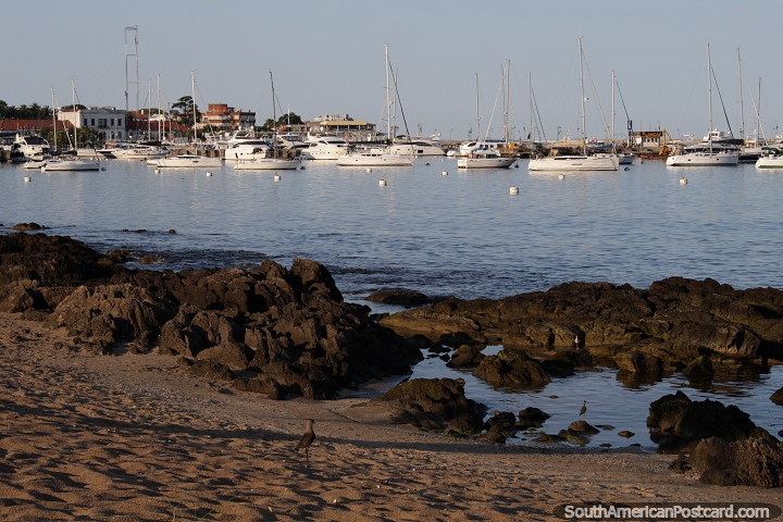 Marina de yates en el lado tranquilo (zona de la playa de Mansa) en Punta del Este. (720x480px). Uruguay, Sudamerica.