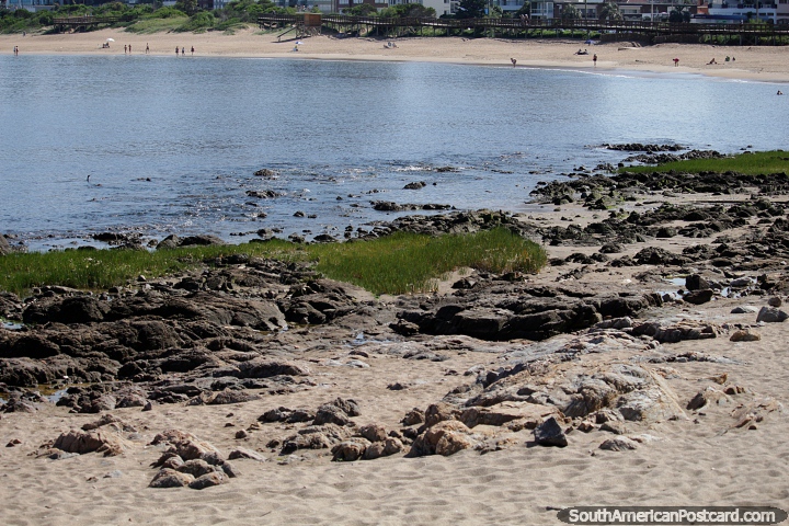 Las rocas y la bahía de la playa Mansa con el paseo marítimo de madera en la parte trasera de Punta del Este. (720x480px). Uruguay, Sudamerica.