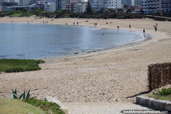 Areias brancas assombrosas e águas calmas de Praia Mansa em Punta do Este com calçadão de madeira. (720x480px). Uruguai, América do Sul.