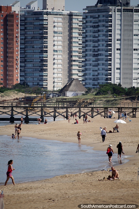 Playa Mansa, embarcadero y apartamentos, gente caminando por la mañana en Punta del Este. (480x720px). Uruguay, Sudamerica.
