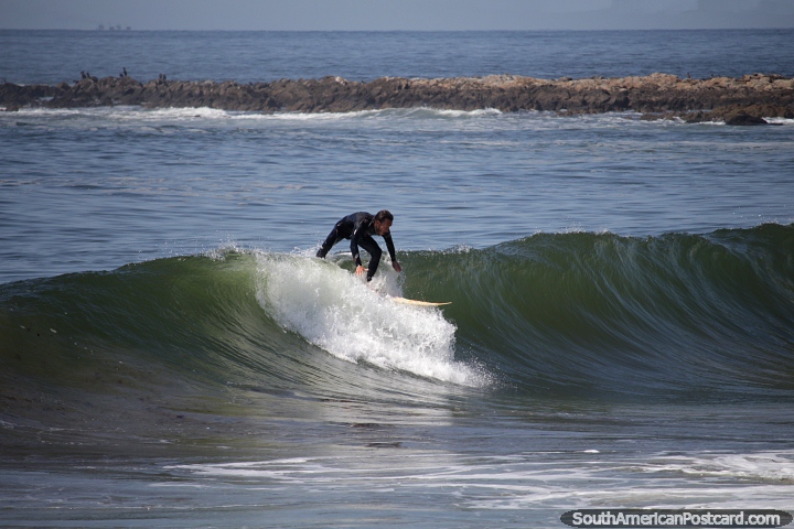 Surfer captura una buena ola en la playa Brava, el lado áspero del punto en Punta del Este. (720x480px). Uruguay, Sudamerica.