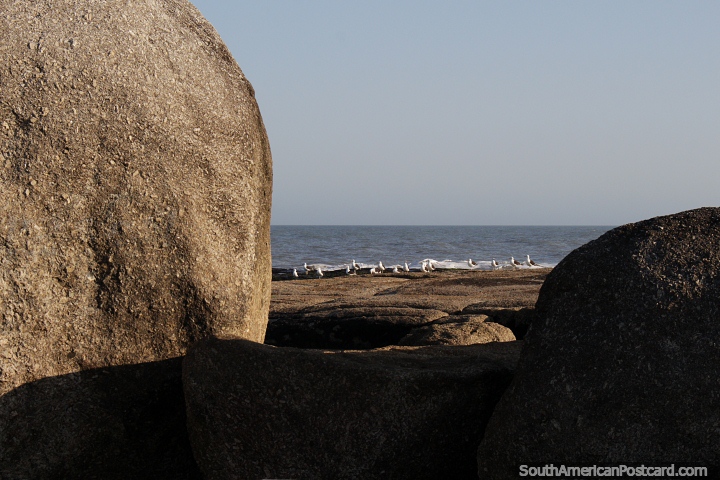 Seagulls on the rocks, view through 2 boulders towards the sea in Punta del Diablo. (720x480px). Uruguay, South America.