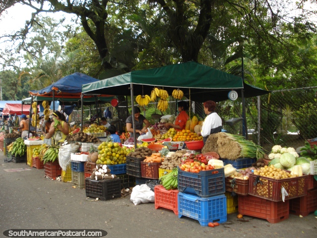 The fruit stalls beside San Cristobal bus terminal. (640x480px). Venezuela, South America.