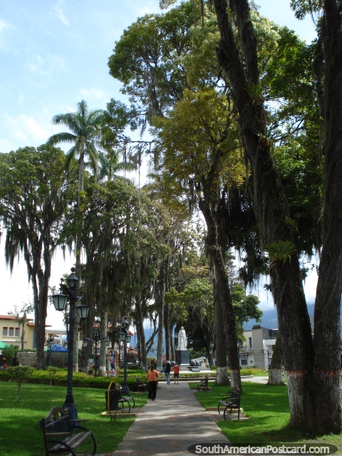 Plaza Sucre en Mérida, camino bordado de árboles. (480x640px). Venezuela, Sudamerica.