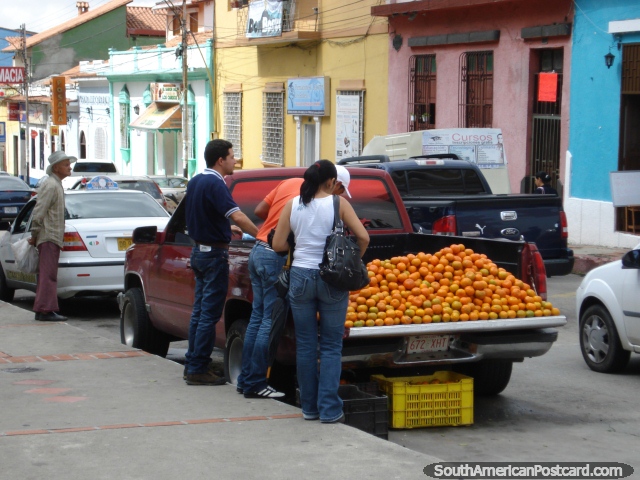 Mandarins for sale in Merida from the back of a ute. (640x480px). Venezuela, South America.
