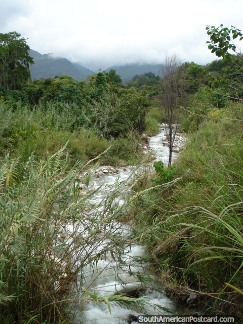 O rio que examina a cidade de Mérida. (480x640px). Venezuela, América do Sul.