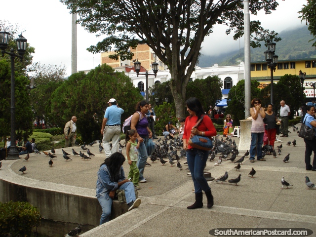 Plaza Bolivar en Mrida, donde cada uno viene para relajarse, come y alimenta las palomas. (640x480px). Venezuela, Sudamerica.