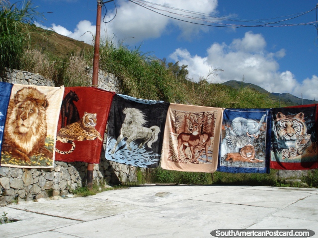 Images of lions and tigers on warm blankets sold in the highlands near Merida. (640x480px). Venezuela, South America.
