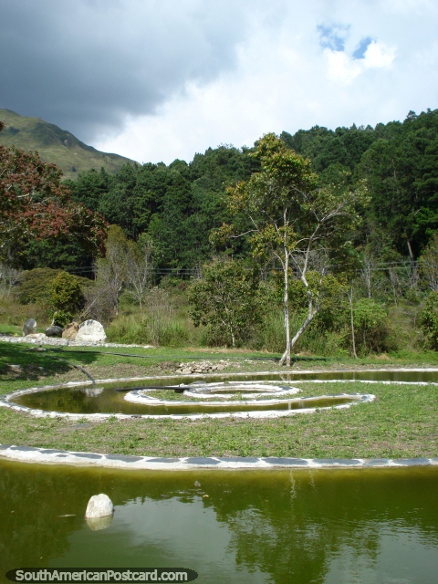 The swirling pond at the botanical gardens in Merida. (480x640px). Venezuela, South America.