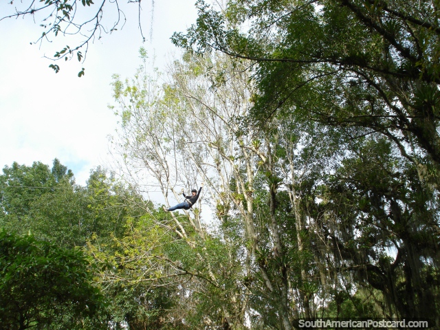 O trapzio pelas rvores em jardins botnicos de Mrida. (640x480px). Venezuela, Amrica do Sul.