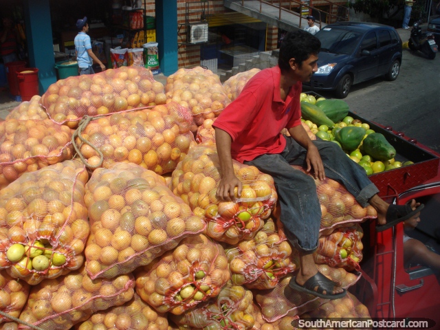 Una carga del camión de la fruta Maracuja. (640x480px). Venezuela, Sudamerica.