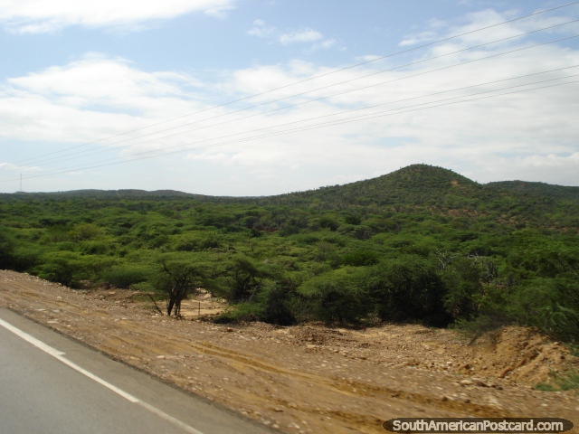 Terreno verde al lado del camino hacia Coro de Maracaibo. (640x480px). Venezuela, Sudamerica.