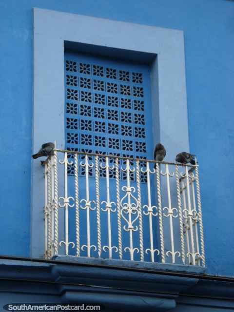 Porta azul e pombos em um balcão em Porto Cabello. (480x640px). Venezuela, América do Sul.