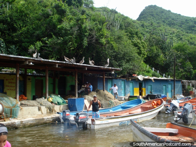 A entrada de rio na Porto Colômbia é cheia de barcos de pesca. (640x480px). Venezuela, América do Sul.