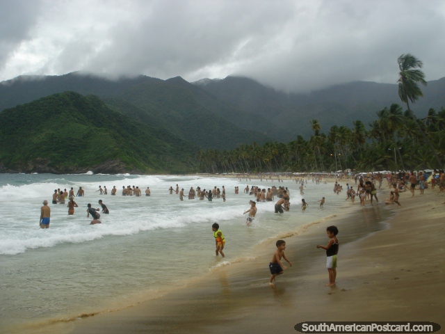 A praia Grande tem um fundo assombroso de palmeiras e colinas que o rodeiam, a Porto Colômbia. (640x480px). Venezuela, América do Sul.