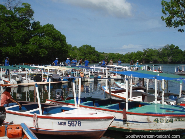 Barcos para transportar pessoas através da lagoa a La Restinga em Ilha Margarita. (640x480px). Venezuela, América do Sul.