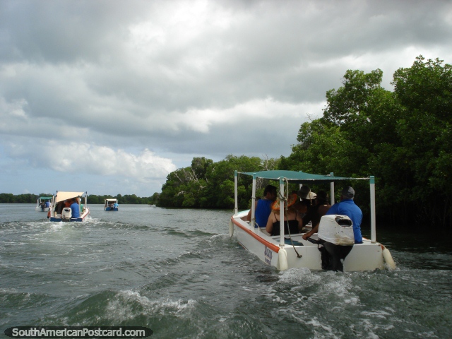 Viajar através de Lagoa La Restinga em Ilha Margarita por barco. (640x480px). Venezuela, América do Sul.