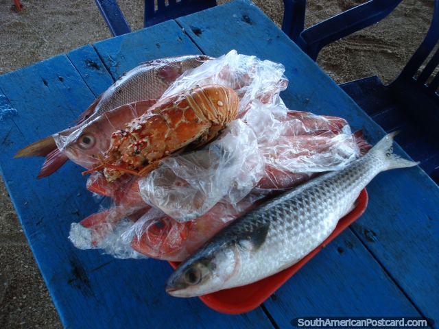 Peixe fresco inclusive camarão de água doce no restaurante em La Restinga em Ilha Margarita. (640x480px). Venezuela, América do Sul.