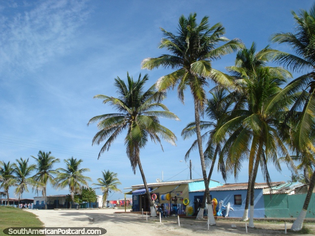 As palmeiras e a loja cumprimentam visitantes de La Restinga em Ilha Margarita. (640x480px). Venezuela, Amrica do Sul.