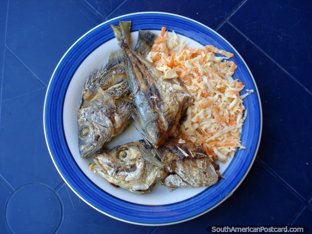 Comi o peixe diariamente quando fiquei com uma famlia em La Restinga, Ilha Margarita. (640x480px). Venezuela, Amrica do Sul.