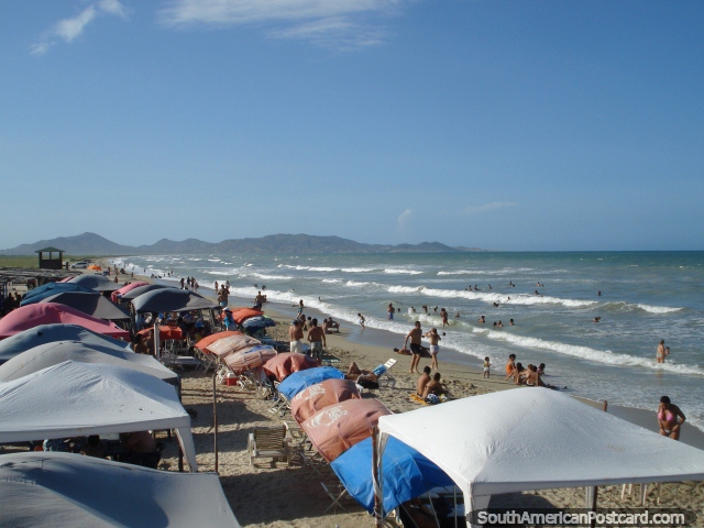 Muitos visitantes de La Restinga em janeiro gostam de um dia do sol na praia, Ilha Margarita. (640x480px). Venezuela, Amrica do Sul.