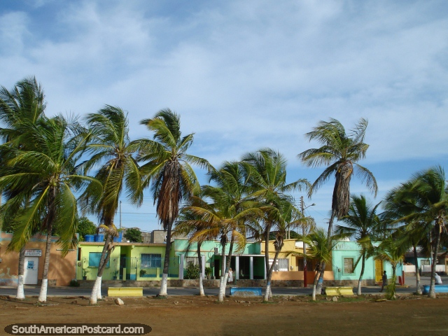 Casas coloridas e palmeiras no fim oriental de Boca de Rio, Ilha Margarita. (640x480px). Venezuela, Amrica do Sul.